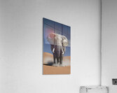 Rust and dust Acrylic Print