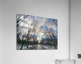 Un chemin Acrylic Print