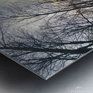 Un chemin Metal print