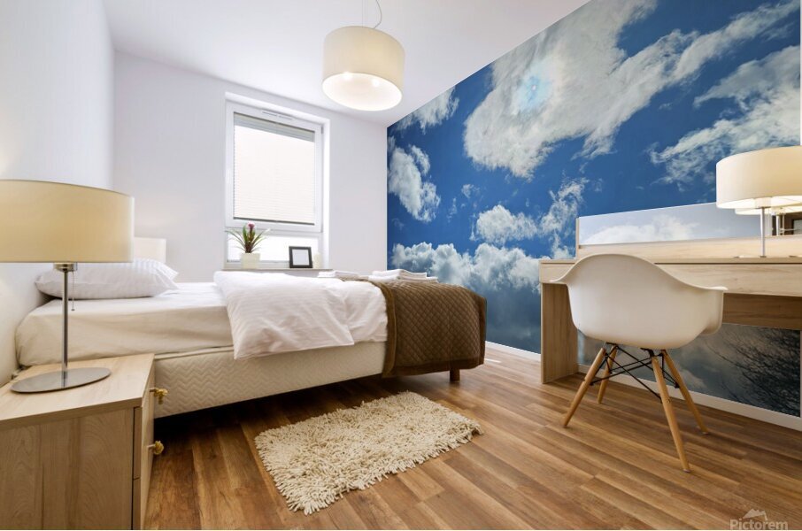 Soleil Percant Chemin Devant  Mural print
