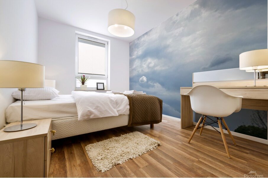 Nuage solitaire Mural print