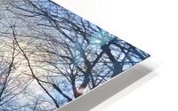 Un chemin HD Metal print