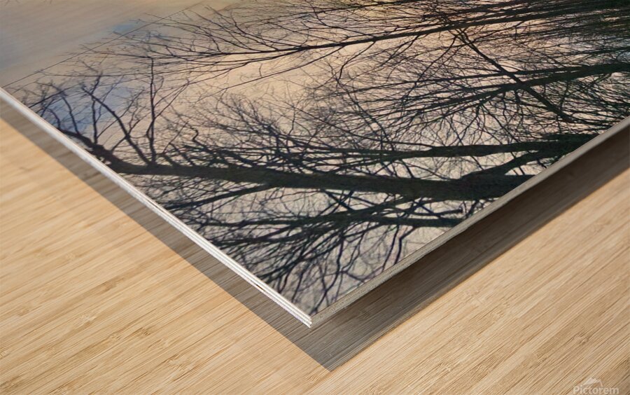 Un chemin Wood print