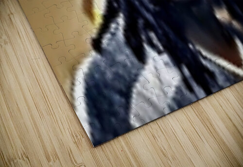 CHEIF KEEF IN JAIL Jeffrey Bradley puzzle