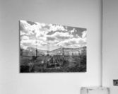 Vestige Acrylic Print