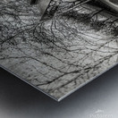 Empty Sky Metal print