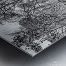 La Caleche  Metal print