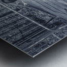 Central Park Metal print