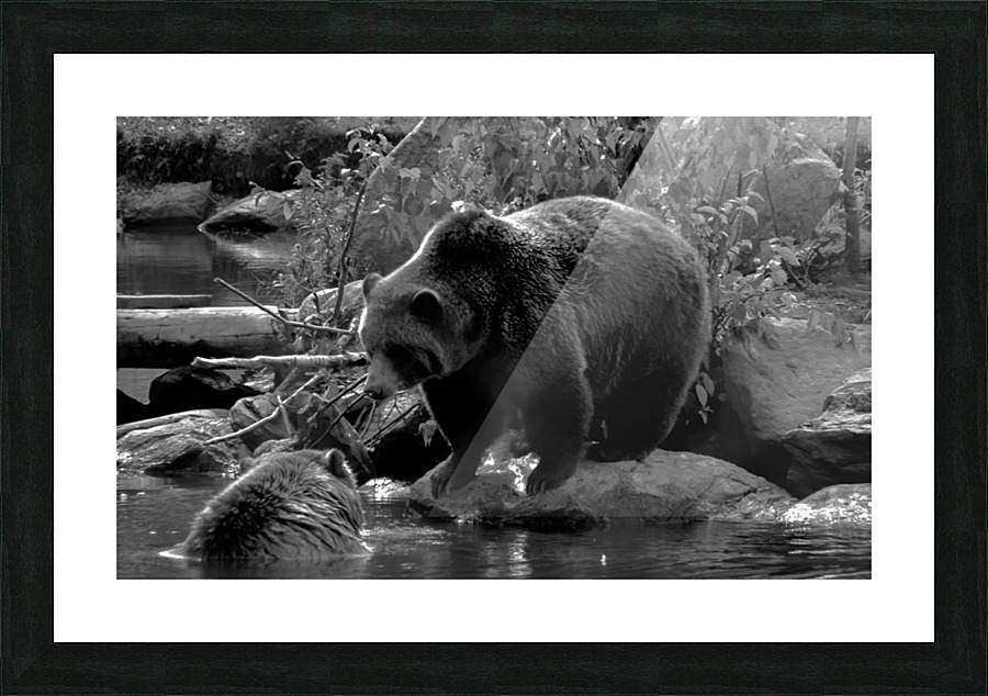  Fine Art print