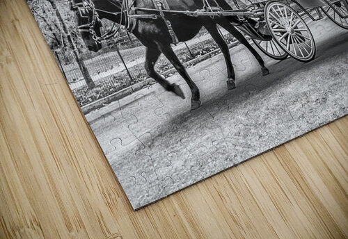 La Caleche  J Lacasse puzzle