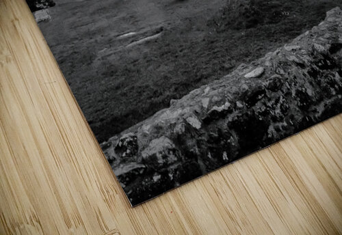 Celtique cimetiere  J Lacasse puzzle