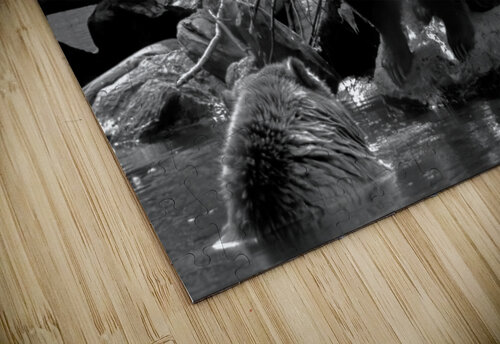 Kodiak  J Lacasse puzzle
