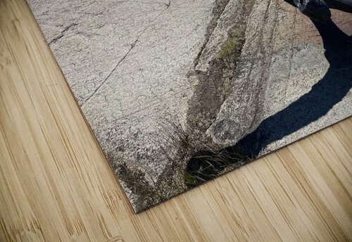 Ancre du temps J Lacasse puzzle