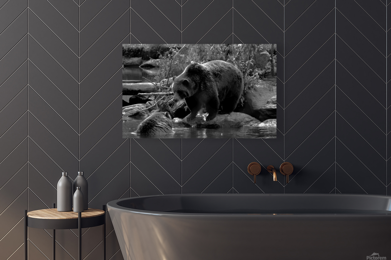 Kodiak  Reproduction
