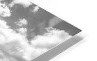 Vestige HD Metal print