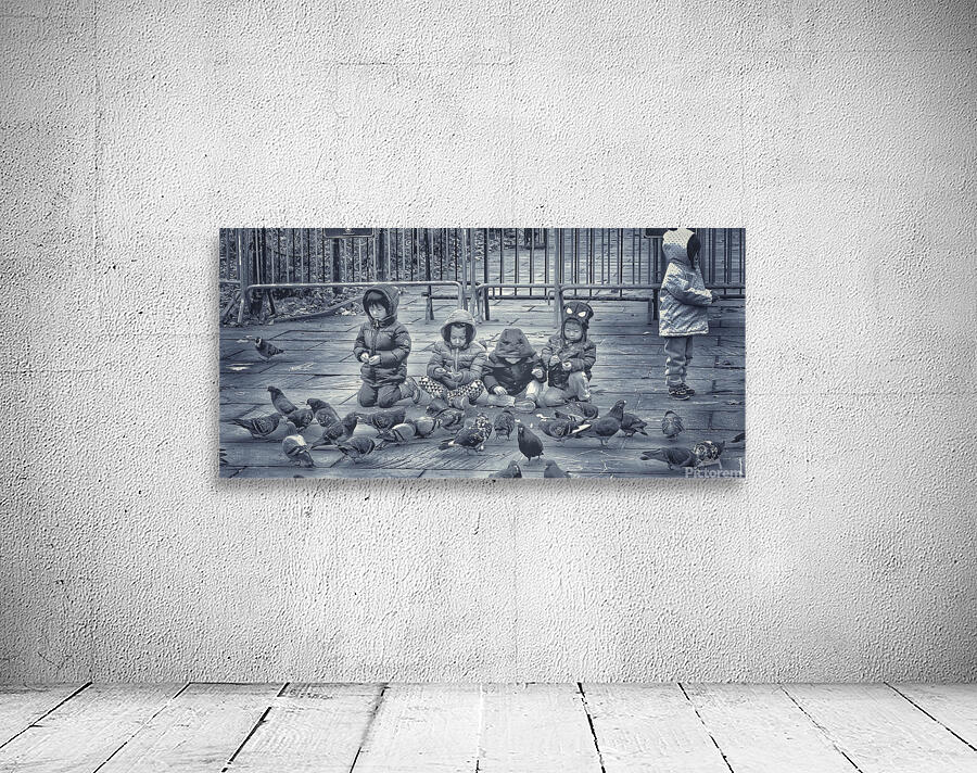 Central Park Wall Preview
