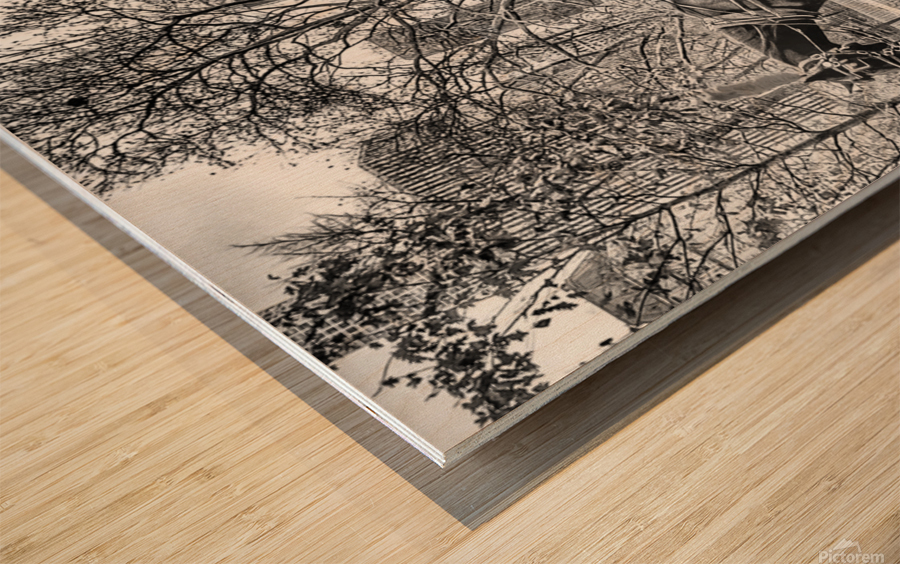 La Caleche  Wood print