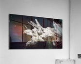 Dragon de bois Acrylic Print