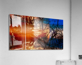 Vision trouble Acrylic Print