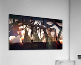 La bete Acrylic Print