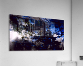 vision alteree Acrylic Print