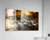 Rock from space Acrylic Print