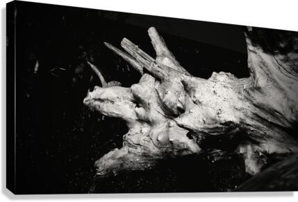 Dragon de bois Canvas Print