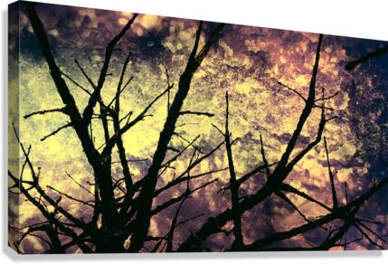 Branches magiques Canvas Print