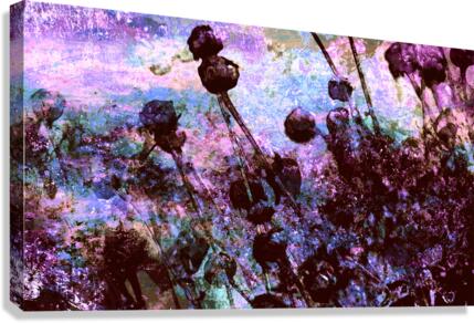La magie Canvas Print