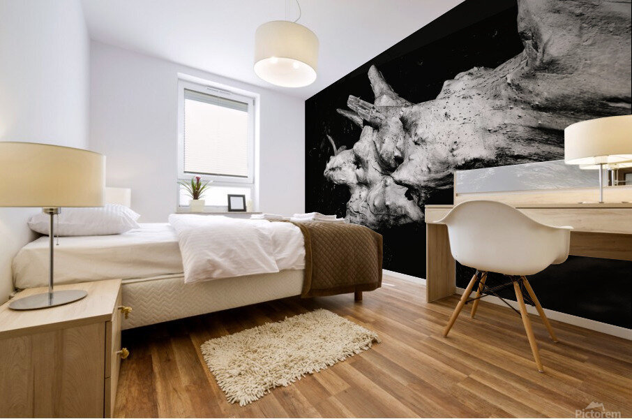 Dragon de bois Mural print