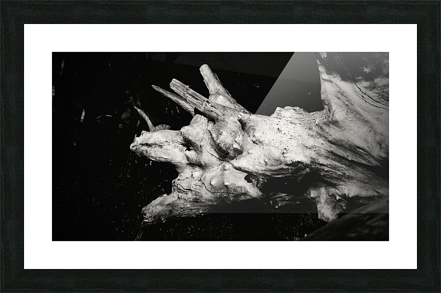 Dragon de bois Picture Frame print