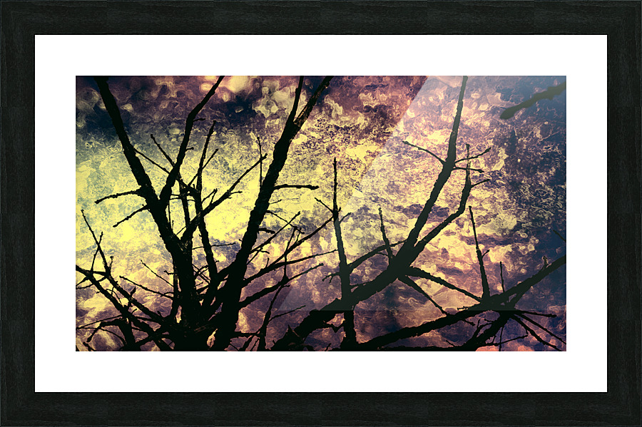Branches magiques Picture Frame print