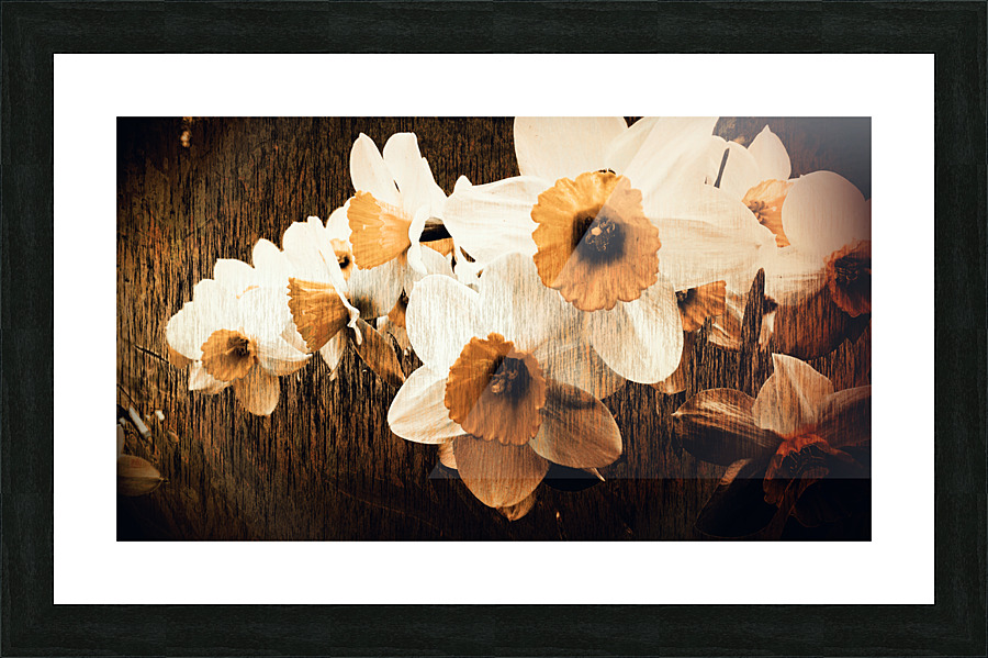 Beaute estompe Picture Frame print