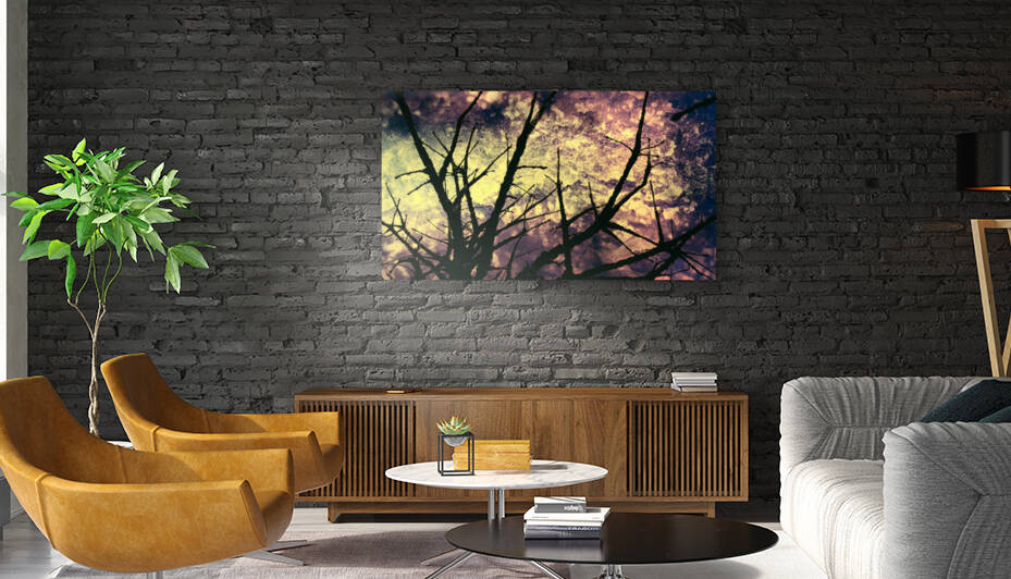 Branches magiques Reproduction