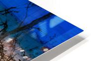 Vision trouble HD Metal print