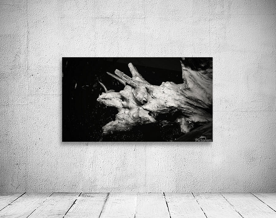 Dragon de bois Wall Preview