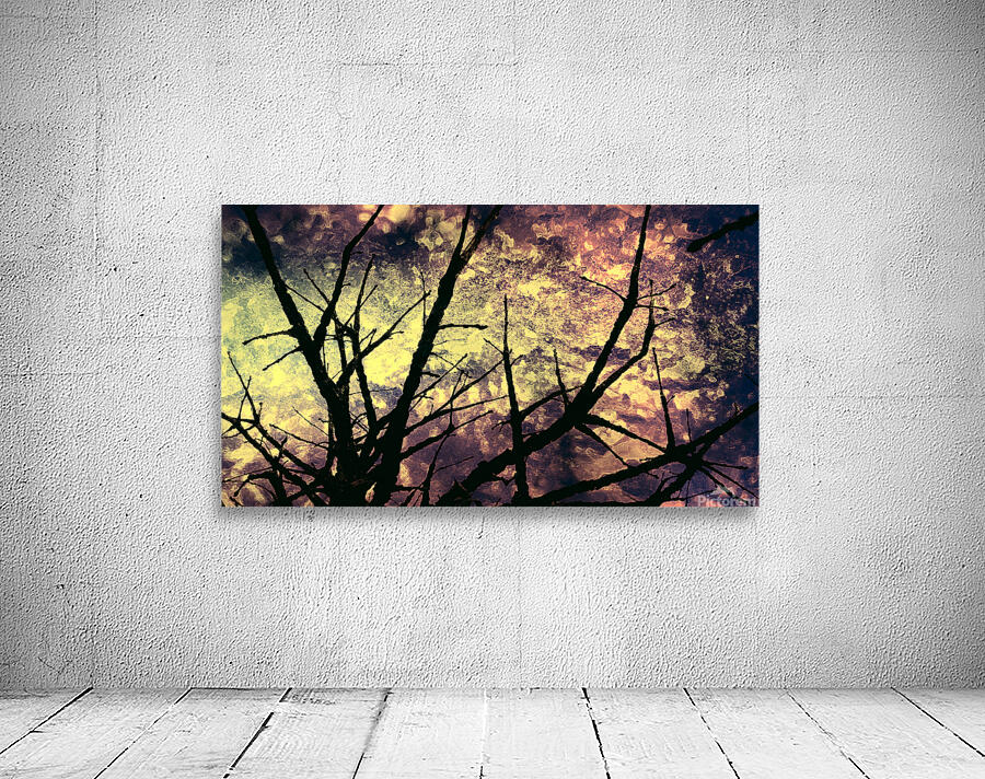 Branches magiques Wall Preview