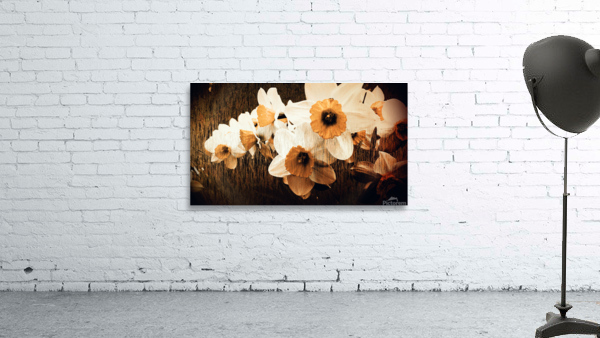 Beaute estompe Wall Preview