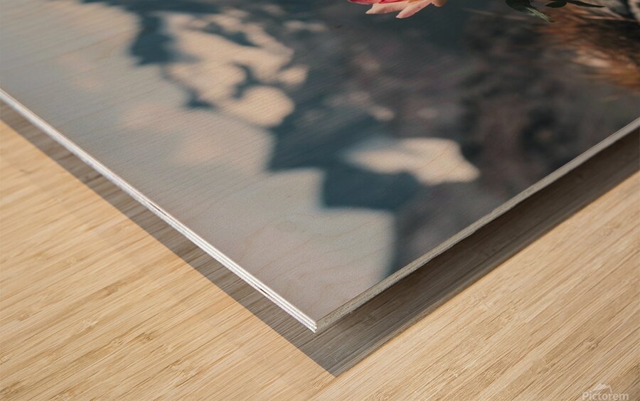 nestled amidst a rugged mountain landscape a soli Wood print