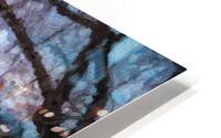 Park Bench Row HD Metal print
