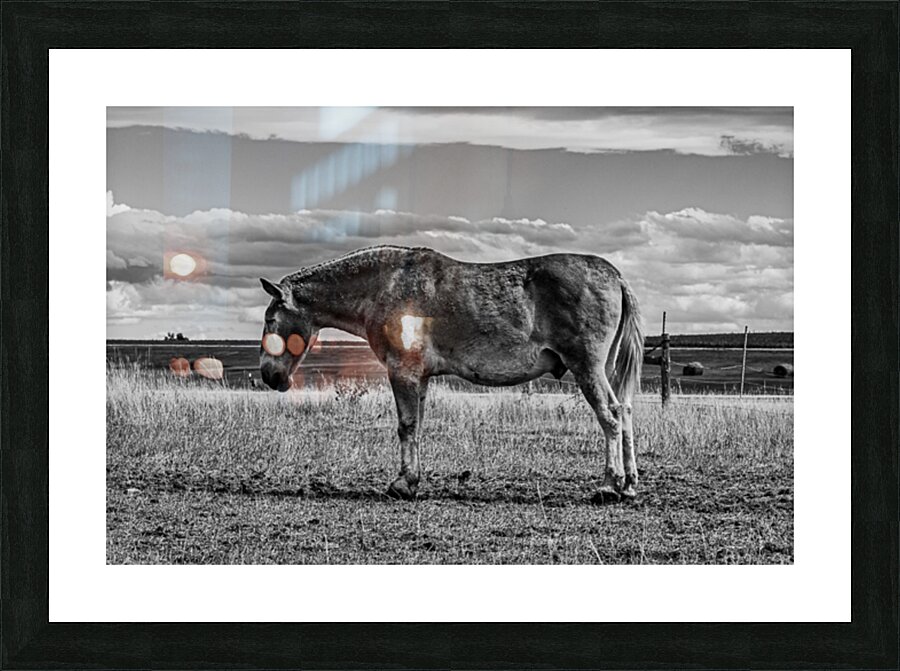 Old Ass Picture Frame print