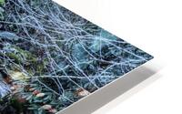 3U2A0175 HD Metal print