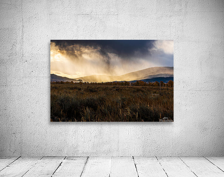 A76A3833 Wall Preview