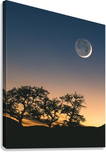 Moon Rising Over the Sunset Canvas Print