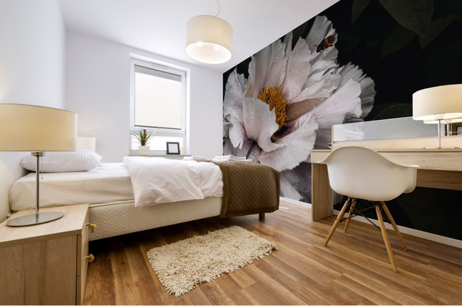 Common peony Mural print