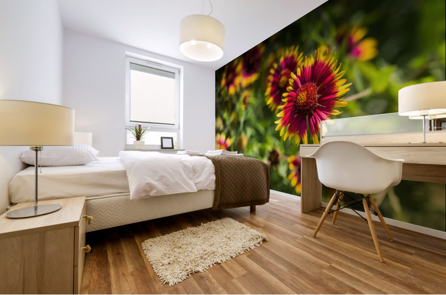 Firewheel Texas Wildlfower Mural print
