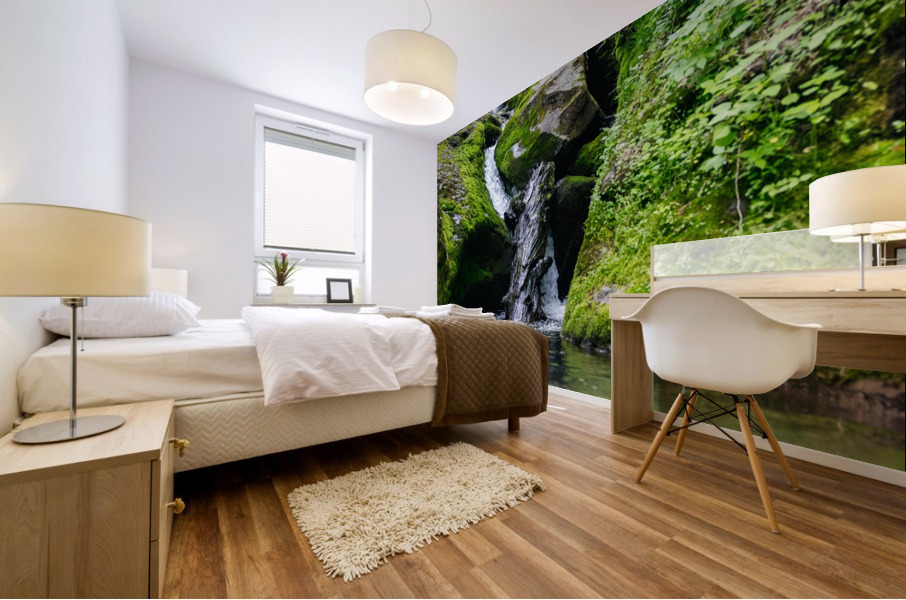 South River Falls Mural print