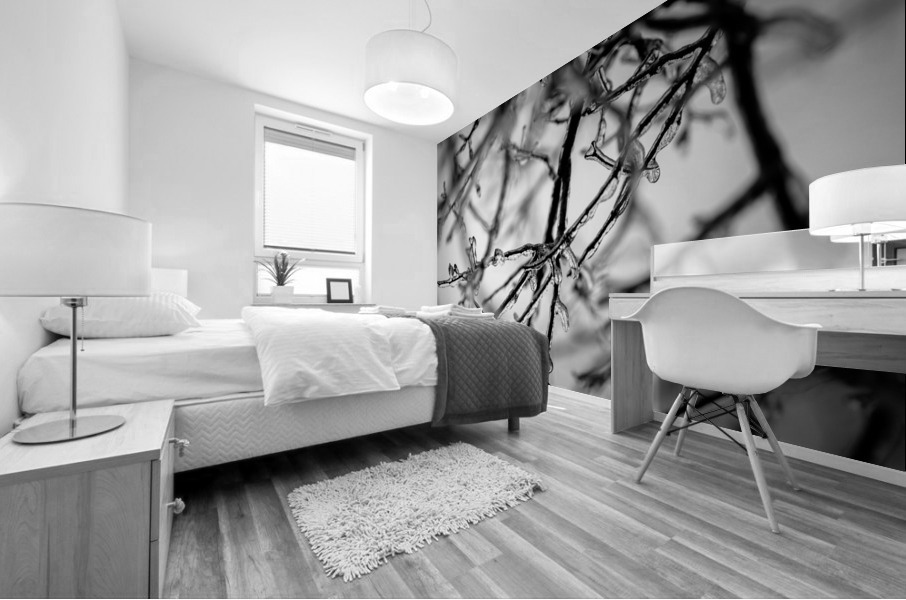 Ice Covered Twigs Mural print