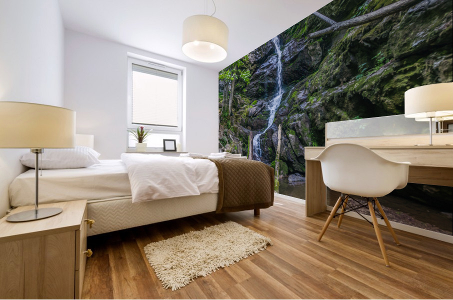 Doyles River Falls Mural print
