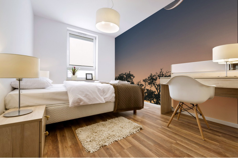 Moon Rising Over the Sunset Mural print